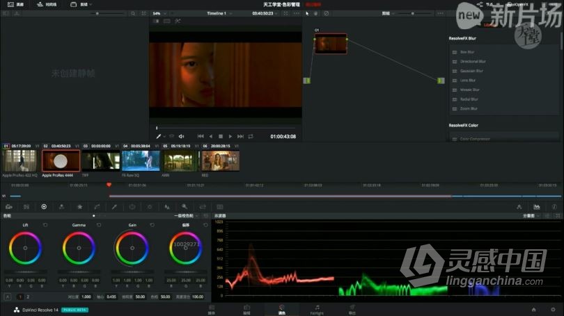 达芬奇教程 达芬奇电影工业级调色调光系统学习高级中文教程  灵感中国社区 www.lingganchina.com