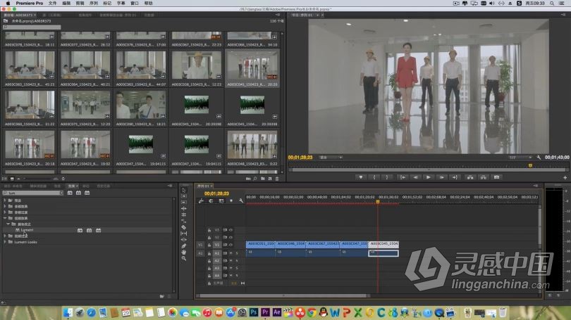 达芬奇教程 达芬奇基础入门中文教程Davinci Resolve 11中文视频教程  灵感中国网 www.lingganchina.com