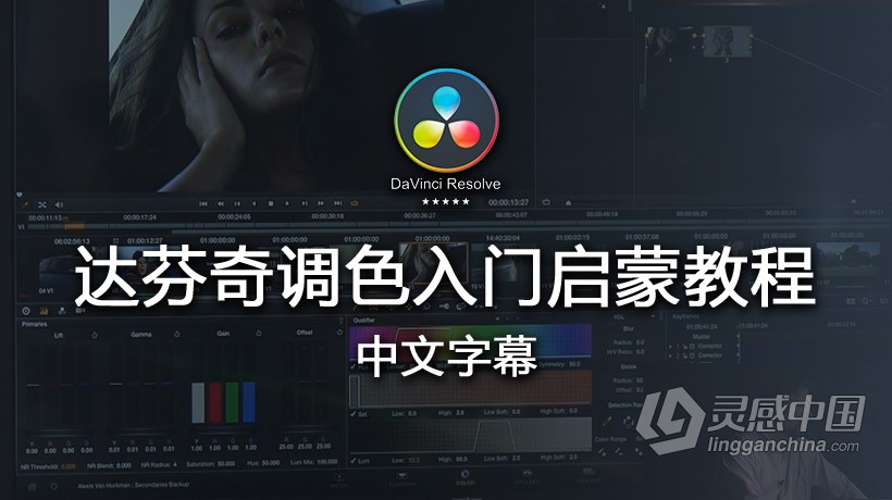 达芬奇教程  国外大师现场讲解达芬奇调色入门启蒙教程 中文字幕  灵感中国网 www.lingganchina.com
