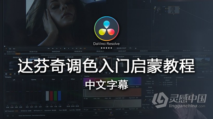 达芬奇教程  国外大师现场讲解达芬奇调色入门启蒙教程 中文字幕  灵感中国社区 www.lingganchina.com