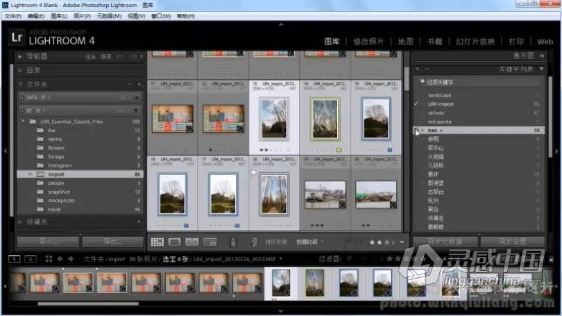 摄影教程 和秋凉一起学摄影LR基础入门中文教程  灵感中国社区 www.lingganchina.com