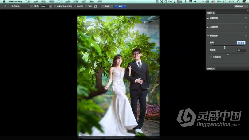 魏凯贺第一季进修第二季大师超清修图视频教程  灵感中国网 www.lingganchina.com