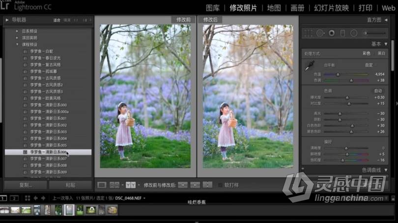 摄影教程 李梦鱼腰果虾仁儿童摄影前后期中文视频教程  灵感中国网 www.lingganchina.com