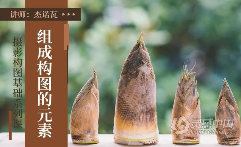 摄影教程 杰诺瓦摄影构图基础系列课程讲解实例14课中文教程 摄影构图的奥秘  灵感中国网 www.lingganchina.com
