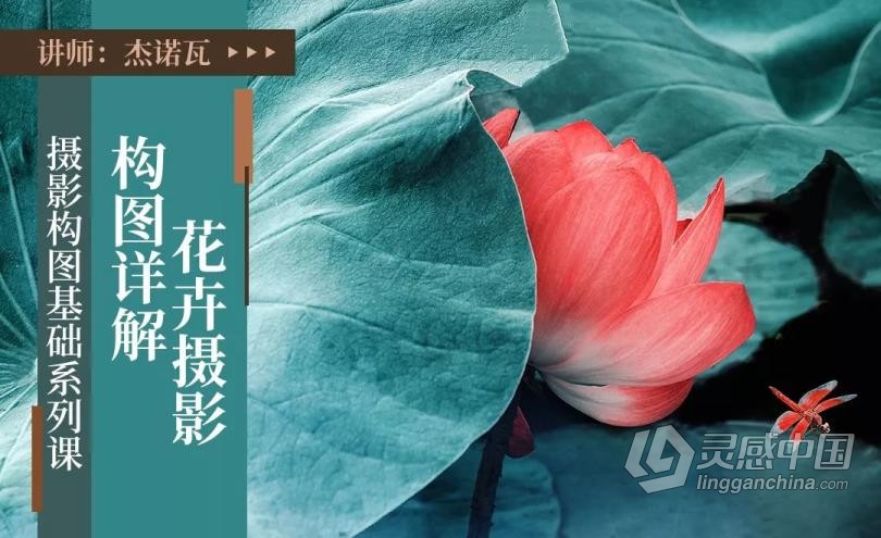 摄影教程 杰诺瓦摄影构图基础系列课程讲解实例14课中文教程 摄影构图的奥秘  灵感中国网 www.lingganchina.com