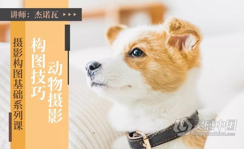 摄影教程 杰诺瓦摄影构图基础系列课程讲解实例14课中文教程 摄影构图的奥秘  灵感中国网 www.lingganchina.com