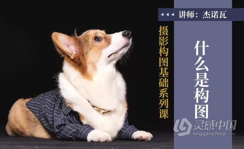 摄影教程 杰诺瓦摄影构图基础系列课程讲解实例14课中文教程 摄影构图的奥秘  灵感中国网 www.lingganchina.com