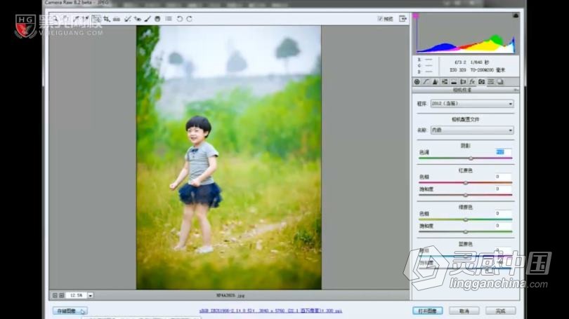 摄影教程 儿童摄影引导师技巧实战及27种Camera调色案例中文教程  灵感中国网 www.lingganchina.com