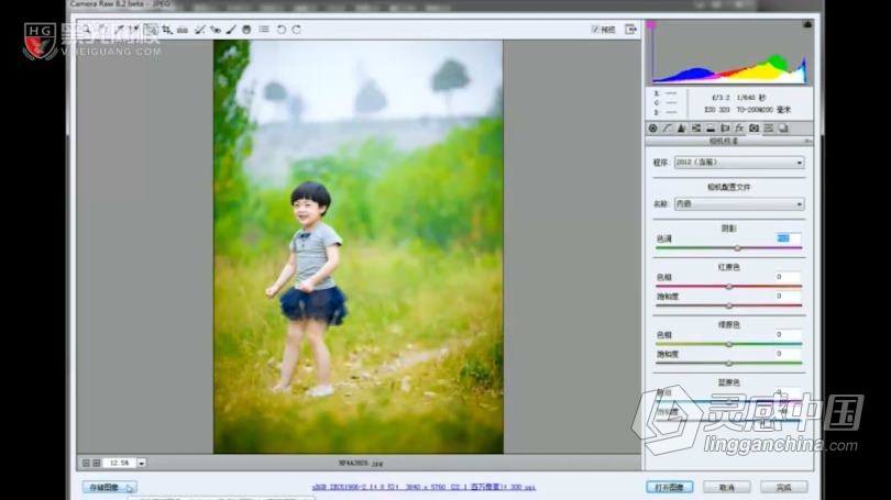 摄影教程 儿童摄影引导师技巧实战及27种Camera调色案例中文教程  灵感中国社区 www.lingganchina.com