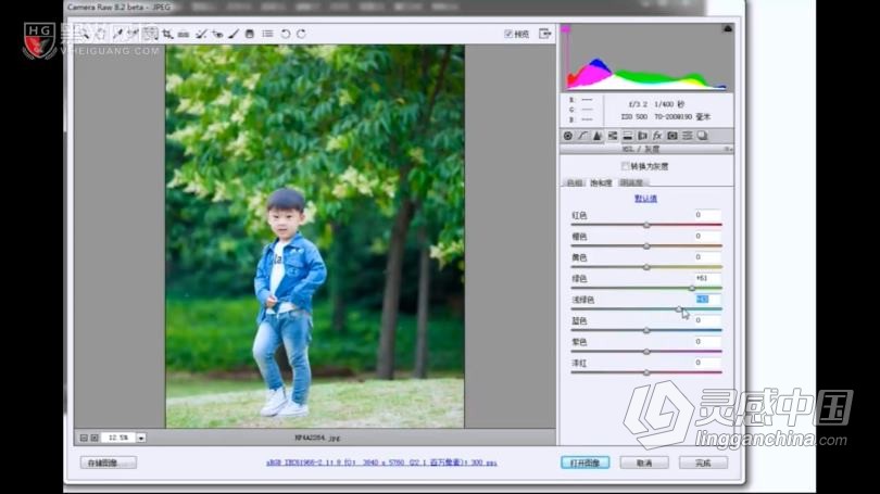 摄影教程 儿童摄影引导师技巧实战及27种Camera调色案例中文教程  灵感中国网 www.lingganchina.com