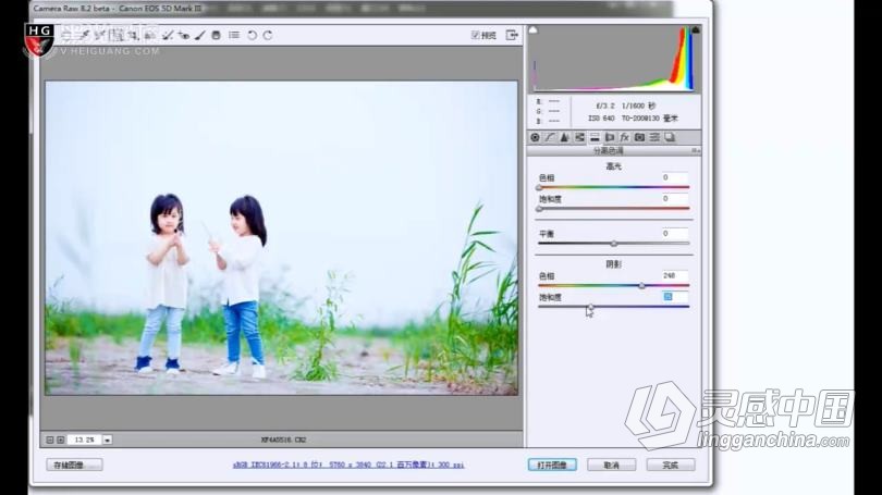 摄影教程 儿童摄影引导师技巧实战及27种Camera调色案例中文教程  灵感中国网 www.lingganchina.com