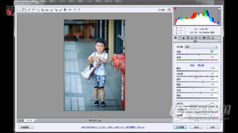 摄影教程 儿童摄影引导师技巧实战及27种Camera调色案例中文教程  灵感中国网 www.lingganchina.com
