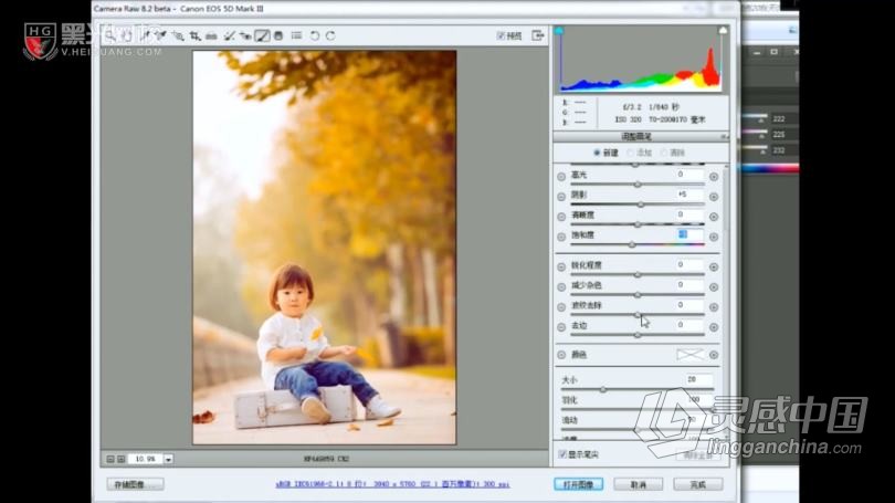 摄影教程 儿童摄影引导师技巧实战及27种Camera调色案例中文教程  灵感中国网 www.lingganchina.com