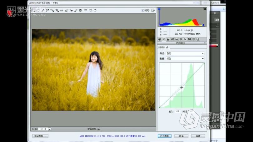 摄影教程 儿童摄影引导师技巧实战及27种Camera调色案例中文教程  灵感中国网 www.lingganchina.com