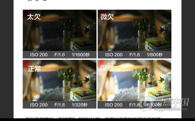 摄影教程 左瞳儿童肖像最新主打油画风精选合集中文教程  灵感中国网 www.lingganchina.com