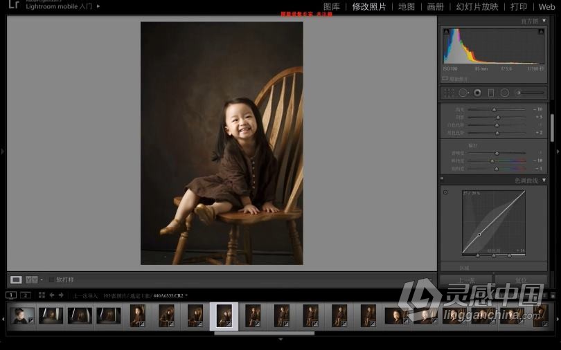 摄影教程 左瞳儿童肖像最新主打油画风精选合集中文教程  灵感中国网 www.lingganchina.com