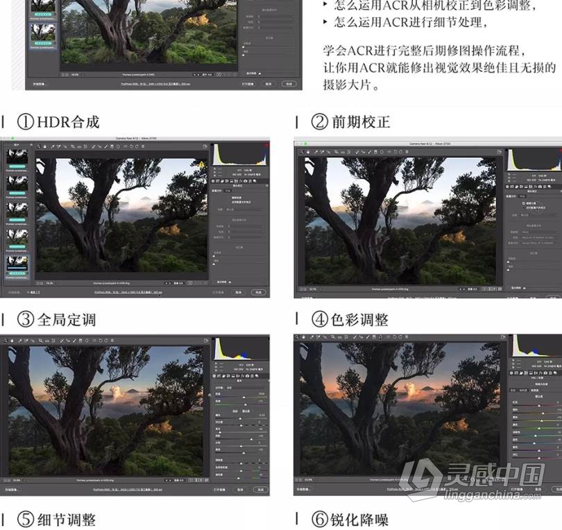 PS教程 Thomas看看世界Adobe Camera Raw：照片无损后期利器中文教程  灵感中国网 www.lingganchina.com