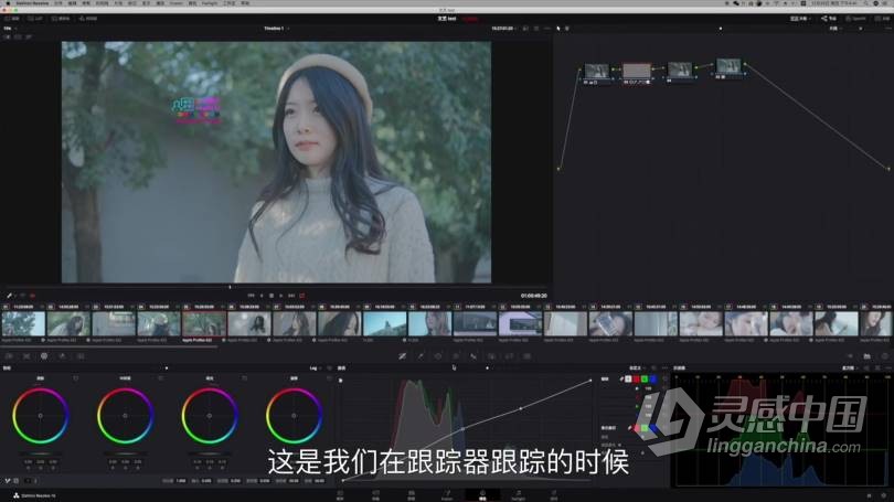 2021红人星球王楠小清新风格视频前期拍摄后期剪辑调色中文教程  灵感中国网 www.lingganchina.com