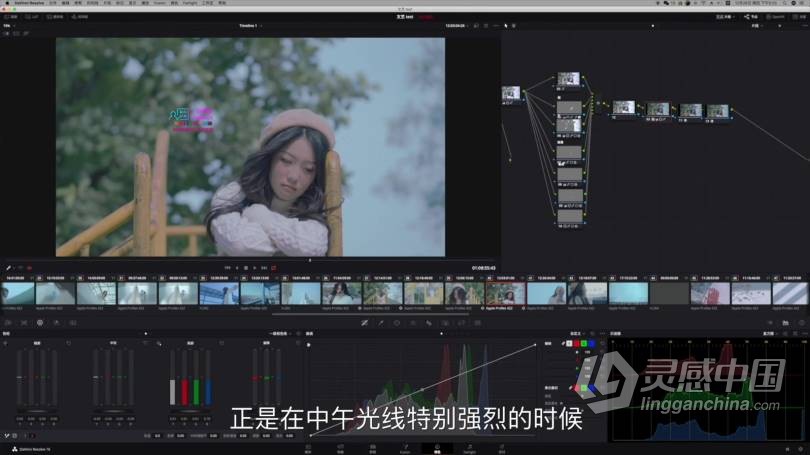 2021红人星球王楠小清新风格视频前期拍摄后期剪辑调色中文教程  灵感中国网 www.lingganchina.com