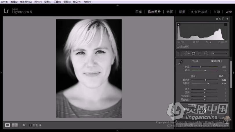 LR教程 Lightroom零基础自学入门至精通综合训练系统课程中文教程  灵感中国社区 www.lingganchina.com