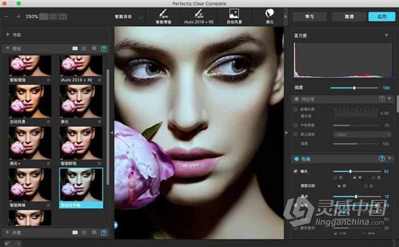 一键智能清晰插件Perfectly Clear Complete for mac 3.11.3.1939中文版  灵感中国网 www.lingganchina.com