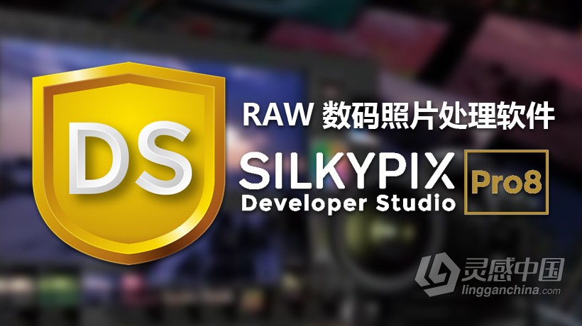 RAW软件 SILKYPIX Developer Studio Pro 8.0.5汉化版  灵感中国社区 www.lingganchina.com