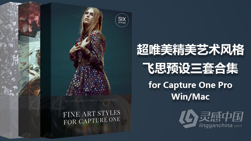 超唯美精美艺术风格飞思预设三套合集 Fine Art Styles Bundle Capture One Pro (Win/Mac)  灵感中国网 www.lingganchina.com