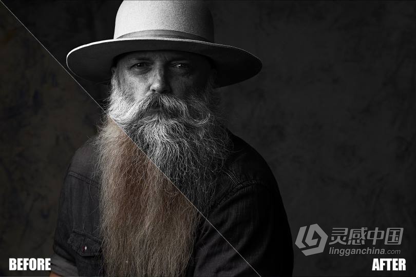 Nathan Elson 2019 飞思样式合集 Capture One Pro Styles  灵感中国网 www.lingganchina.com