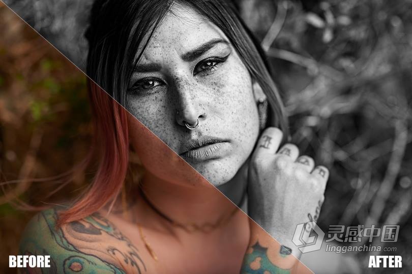 Nathan Elson 2019 飞思样式合集 Capture One Pro Styles  灵感中国网 www.lingganchina.com
