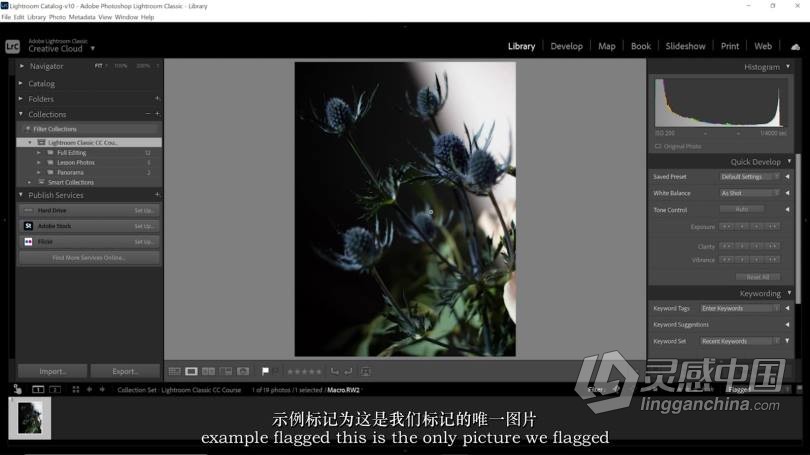 Lightroom Classic CC大师班-完整照片编辑课程-中英字幕  灵感中国网 www.lingganchina.com