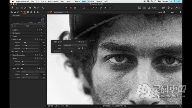 飞思Capture One Pro 12入门基础操作综合训练教程 中文字幕  灵感中国网 www.lingganchina.com