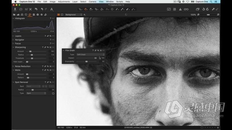 飞思Capture One Pro 12入门基础操作综合训练教程 中文字幕  灵感中国社区 www.lingganchina.com