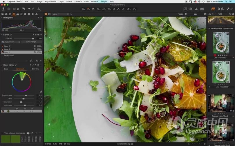 飞思Capture One Pro 12入门基础操作综合训练教程 中文字幕  灵感中国网 www.lingganchina.com