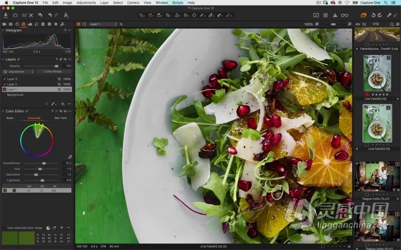 飞思Capture One Pro 12入门基础操作综合训练教程 中文字幕  灵感中国社区 www.lingganchina.com