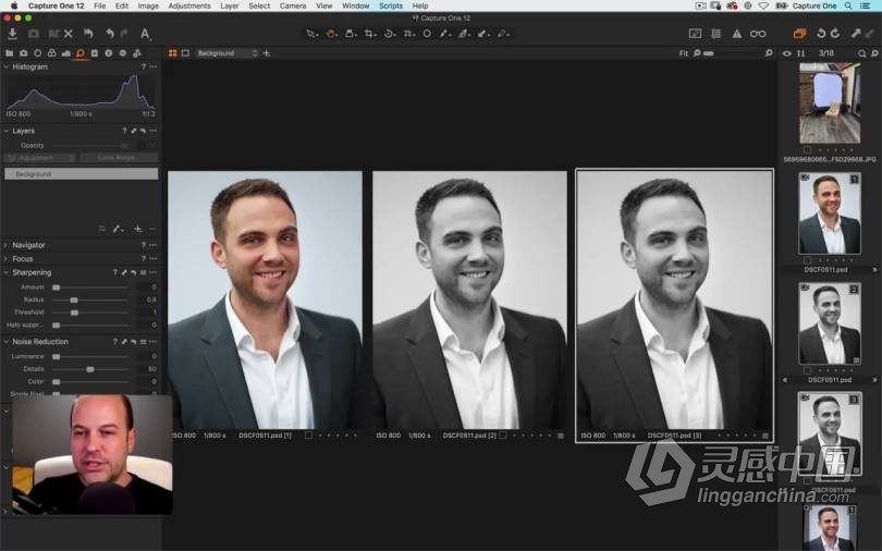 飞思Capture One Pro 12入门基础操作综合训练教程 中文字幕  灵感中国网 www.lingganchina.com