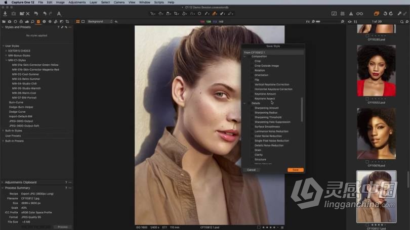 飞思Capture One Pro 12入门基础操作综合训练教程 中文字幕  灵感中国网 www.lingganchina.com