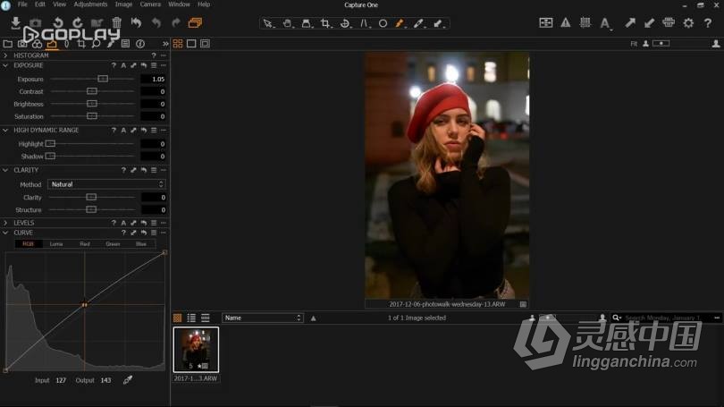 飞思Capture One Pro 12入门基础操作综合训练教程 中文字幕  灵感中国网 www.lingganchina.com