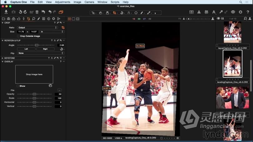 飞思Capture One Pro 8 入门及提高专业RAW图像编辑教程  灵感中国网 www.lingganchina.com