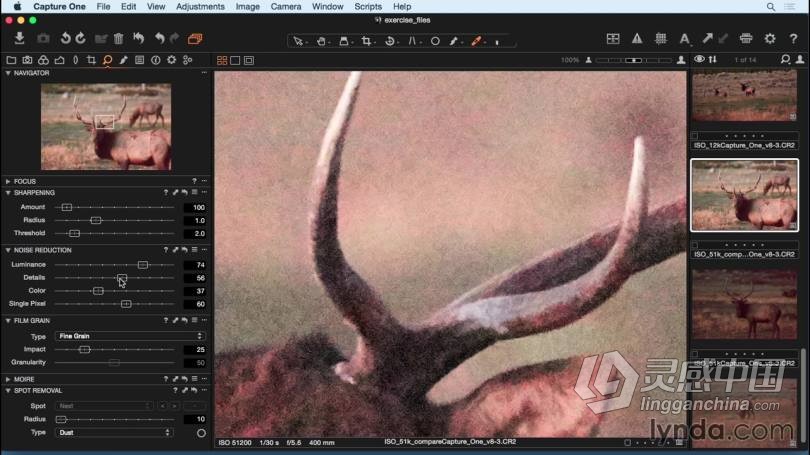 飞思Capture One Pro 8 入门及提高专业RAW图像编辑教程  灵感中国网 www.lingganchina.com