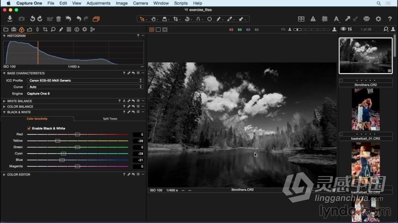 飞思Capture One Pro 8 入门及提高专业RAW图像编辑教程  灵感中国网 www.lingganchina.com