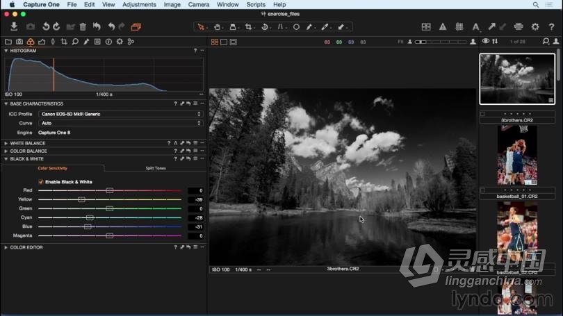 飞思Capture One Pro 8 入门及提高专业RAW图像编辑教程  灵感中国社区 www.lingganchina.com