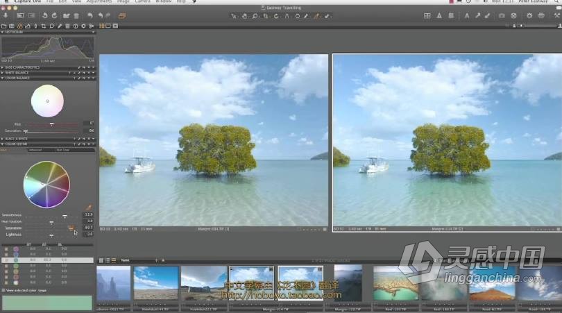飞思Capture One 顶尖摄影RAW文件冲图后期调色软件教程 中文字幕  灵感中国网 www.lingganchina.com