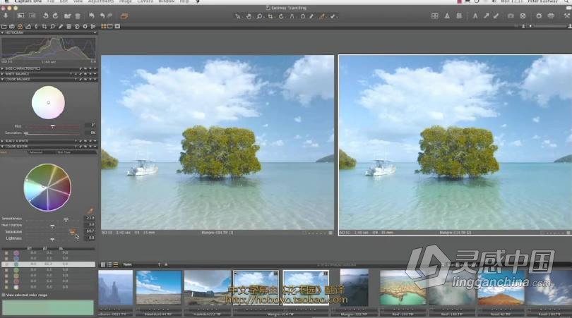 飞思Capture One 顶尖摄影RAW文件冲图后期调色软件教程 中文字幕  灵感中国社区 www.lingganchina.com