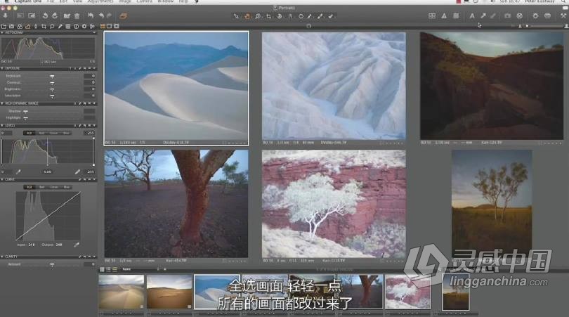 飞思Capture One 顶尖摄影RAW文件冲图后期调色软件教程 中文字幕  灵感中国网 www.lingganchina.com