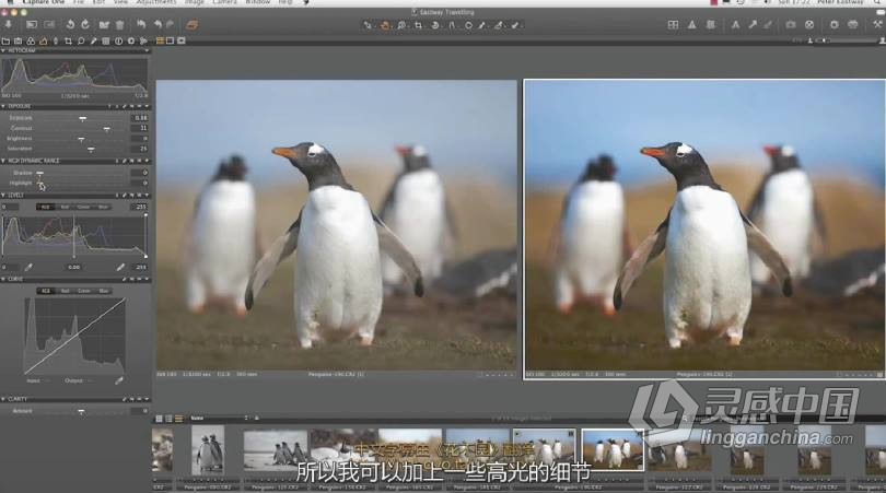 飞思Capture One 顶尖摄影RAW文件冲图后期调色软件教程 中文字幕  灵感中国社区 www.lingganchina.com