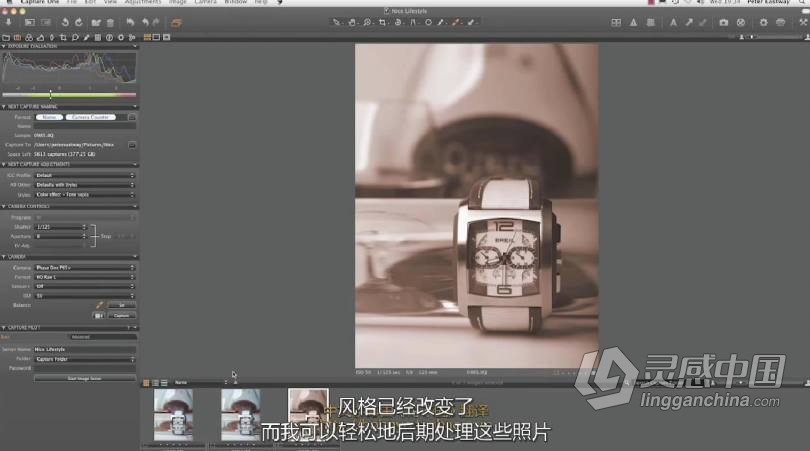 飞思Capture One 顶尖摄影RAW文件冲图后期调色软件教程 中文字幕  灵感中国网 www.lingganchina.com