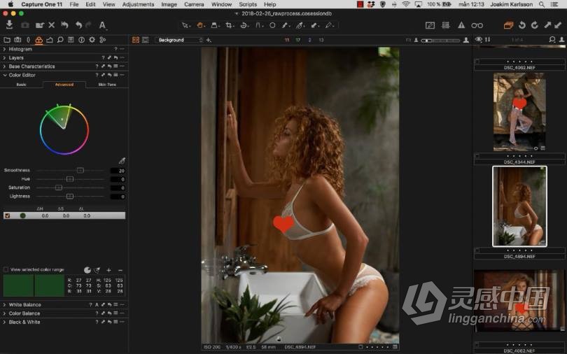 摄影师Joakim Karlsson 飞思Capture One Pro RAW原始图像修饰教程  灵感中国网 www.lingganchina.com