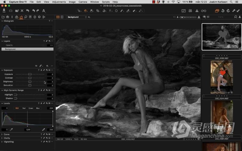 摄影师Joakim Karlsson 飞思Capture One Pro RAW原始图像修饰教程  灵感中国网 www.lingganchina.com
