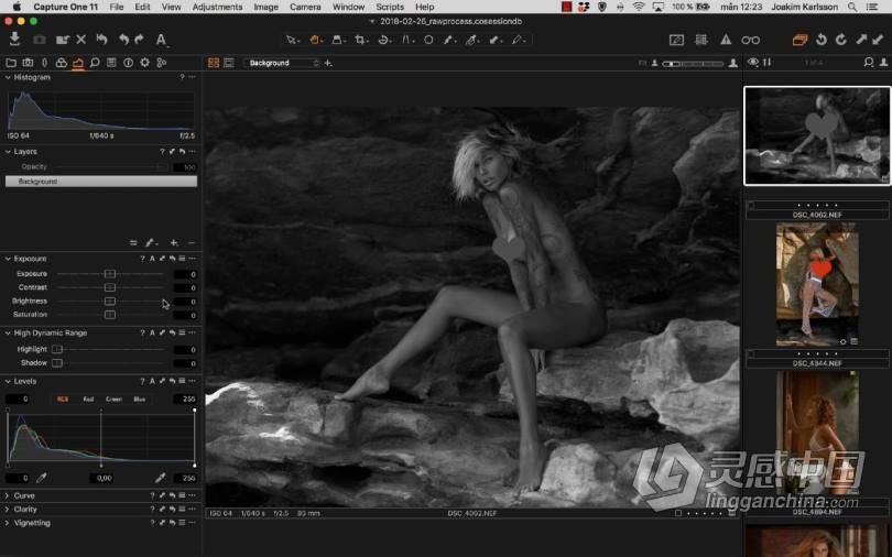 摄影师Joakim Karlsson 飞思Capture One Pro RAW原始图像修饰教程  灵感中国社区 www.lingganchina.com