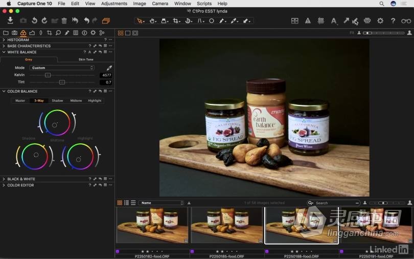 飞思Capture One Pro 10全面学习完全指南 基础入门教程  灵感中国网 www.lingganchina.com